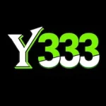 Y333 Game